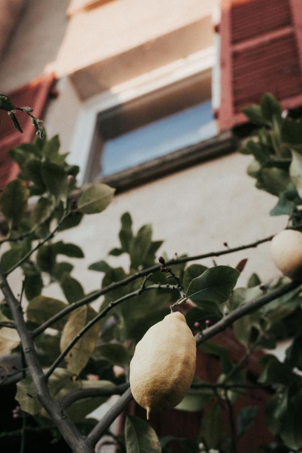 La Maison Perchee Thiers Kültér fotó